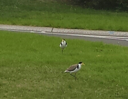 Creeping at Hayley's parental abode