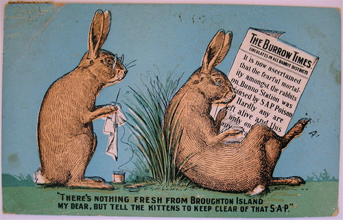 nobody likes rabbits