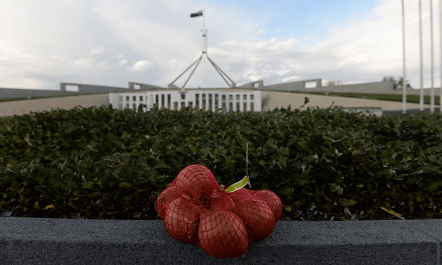 A string bag of onions sits on a concrete fence outside Parliament House.